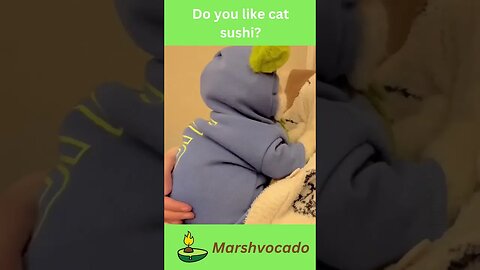 Can they get any cuter? #shorts #cutecat #catsoftiktok #funnycatvideos #funny #pet #cat #adorable