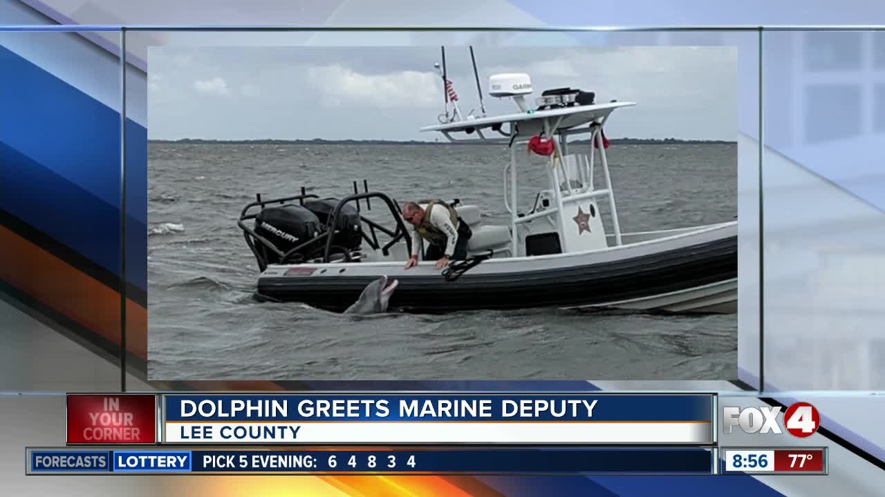 Dolphin greets marine unit deputy at boatside