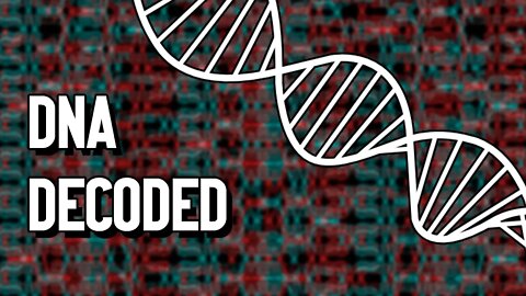 DNA: The Blueprint for Life