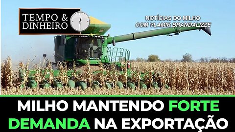 Milho mantendo forte demanda na exportação