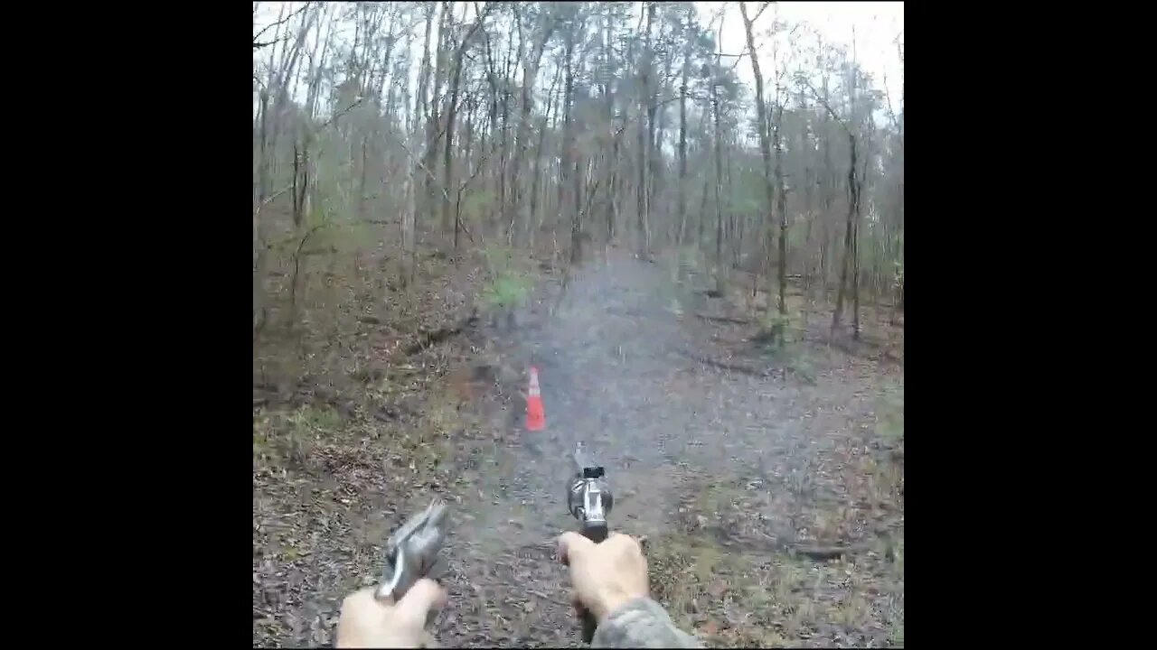 dual wield vs traffic cone