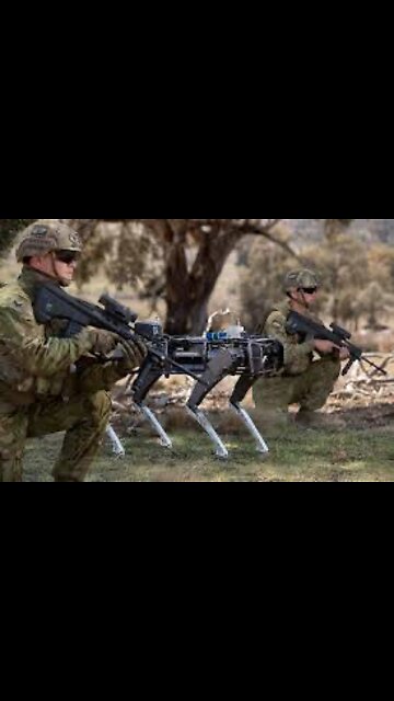 Robots Are Revolting