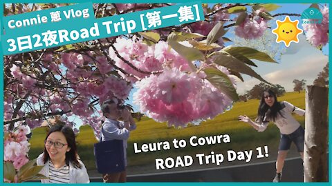 Connie 蔥 - VLOG - 3日2夜ROAD TRIP第一集 | 食@Leura | 坐車睇風景