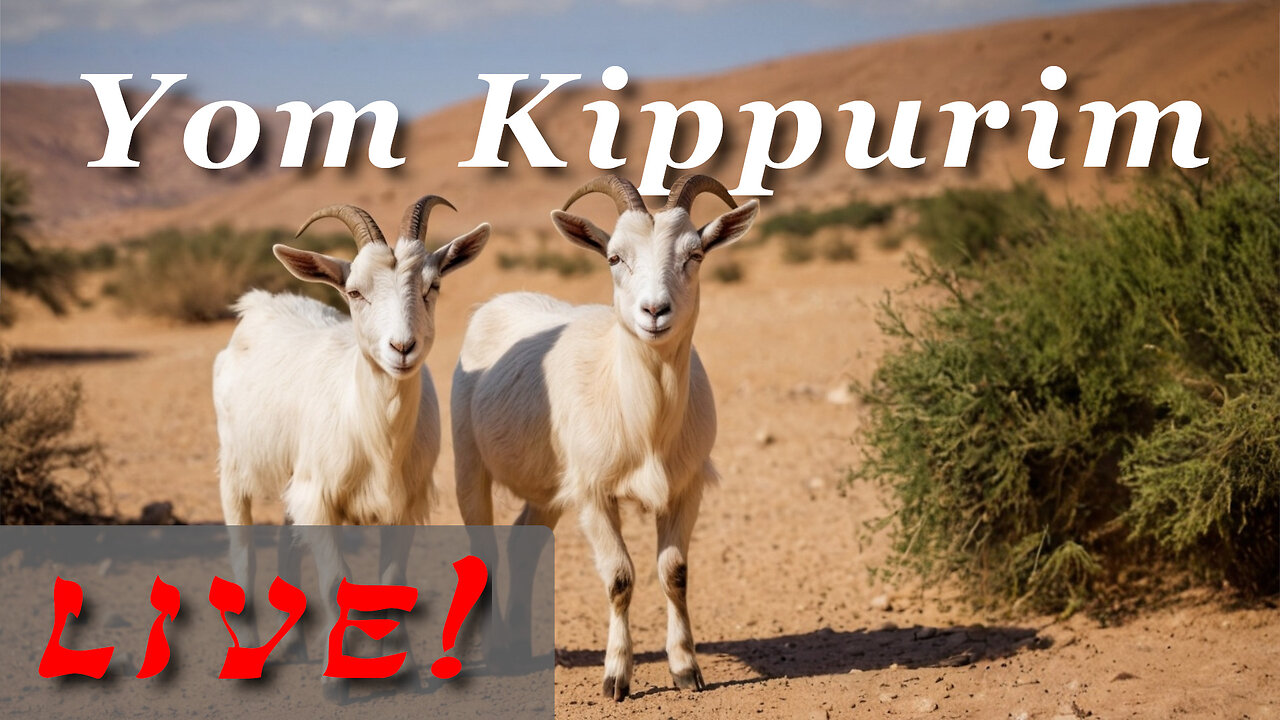 Yom Kippurim - Feast Days - God Honest Truth Live Stream - 09/20/2024