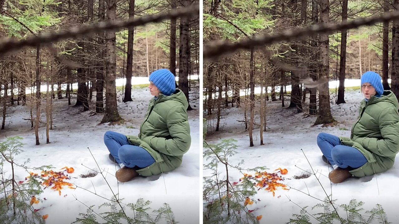 Woman's spiritual meditation interrupted by two grouse