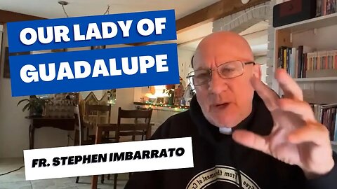 Our Lady of Guadalupe; What's Coming in 2023! Fr. Stephen Imbarrato Live
