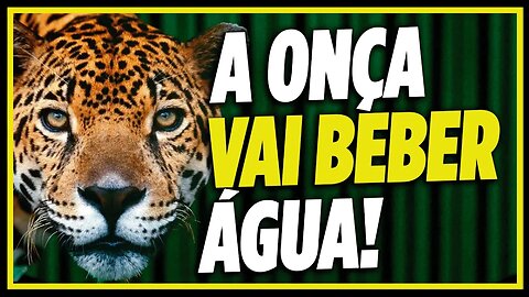 INTERVENÇÃO MILITAR ACONTECENDO NOS QUARTEIS! | Cortes do MBL