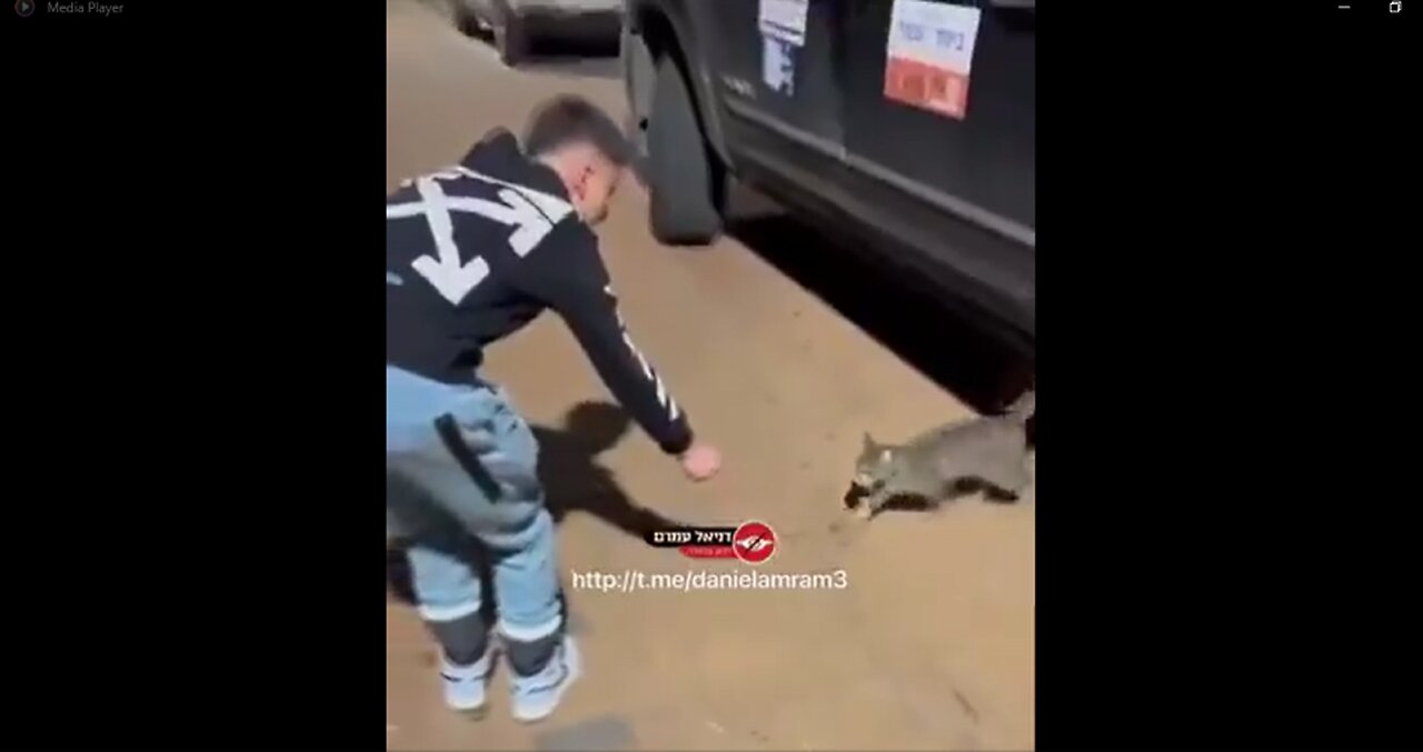 A Jew playing with a Cat. You can tell a persons HEART by how they treat animals.