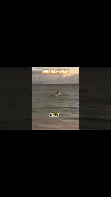 Hawaiian outriggers enjoying the morning sun