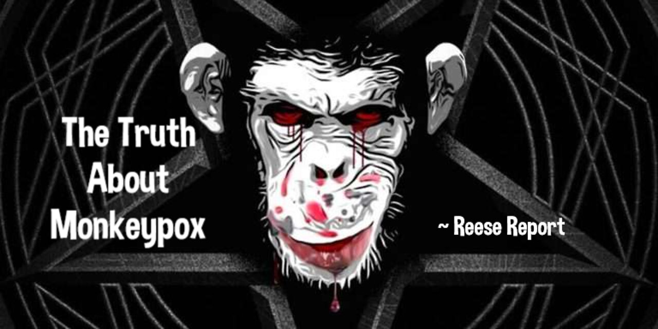 Reese Report ~ Interesting Truths About Monkeypox That the Lying Media Won't Tell You