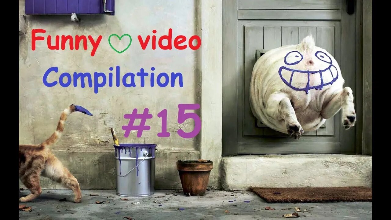 Funny video compilation #15