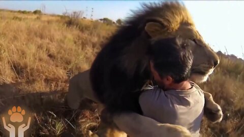 Animals That Never Forget Their Owner Even After Years