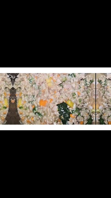 Dog Food Easy And Healty