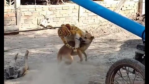 Funny Dogs - Fake Tiger Prank 2