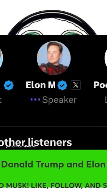 Elon Musk talks about the southern border