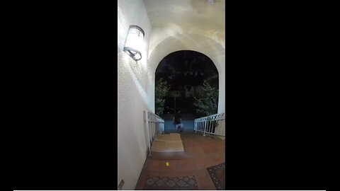 Package Thief Gets A Surprise...LOL