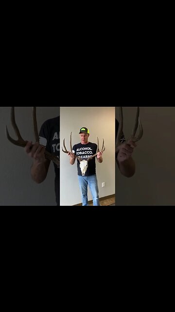 2022 Muley buck euro. #shorts