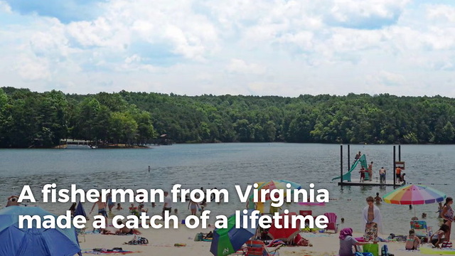 River Monster: Virginia Man Beats 25-year-old State Record, Catches Unbelievable Catfish