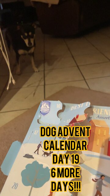 Himalayan Dog Chew 24 Joyful Days Dog Advent Calendar Day 19