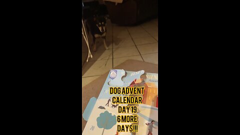 Himalayan Dog Chew 24 Joyful Days Dog Advent Calendar Day 19