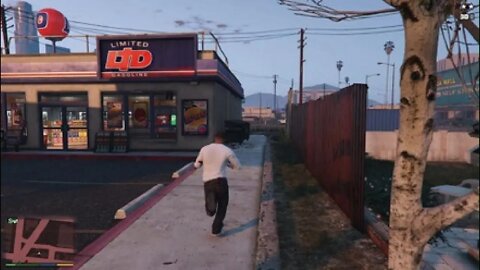 Grand Theft Auto V_Ghost closing the door glitch