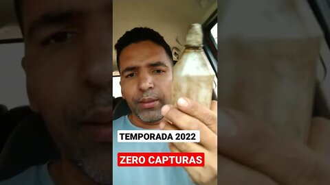 #shorts Temporada 2022 CAPTURAS ZERO...