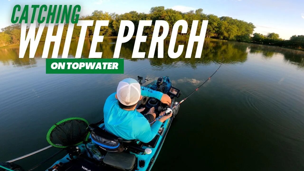 Summer White Perch on Topwater | My Last Trip on the Old Town Sportsman Autopilot 120