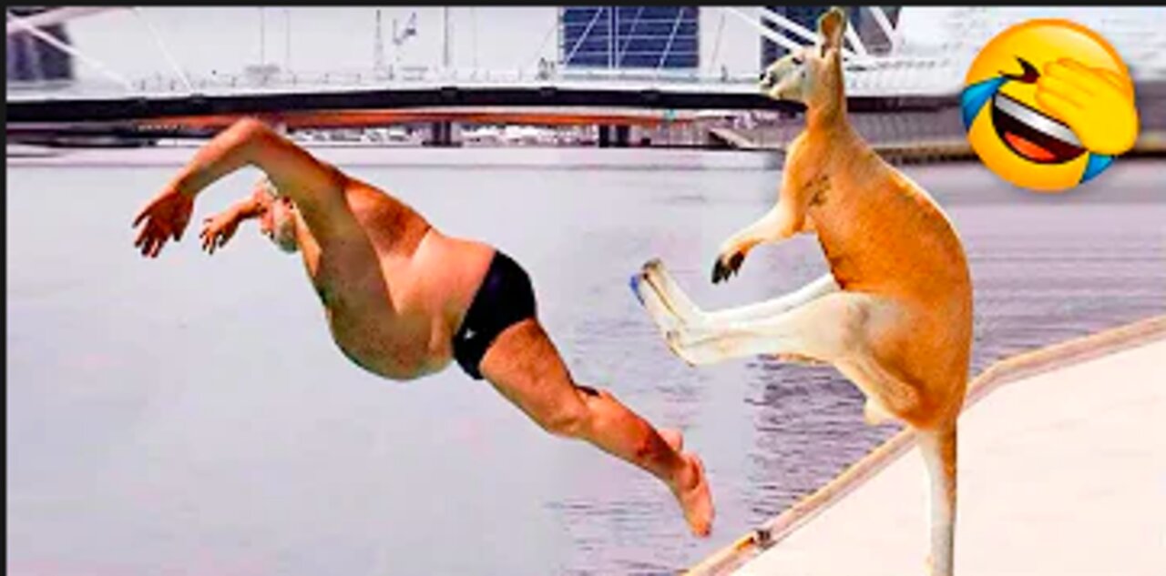 Best Funny Animal Videos Of The 2022 🤣 - Funny Wild And Farm Animals Videos 🐴🦍