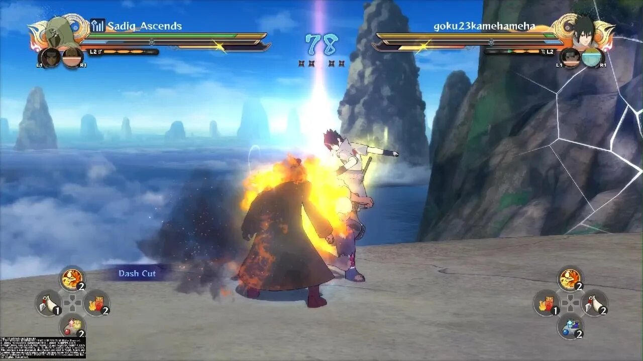 NARUTO SHIPPUDEN: Ultimate Ninja STORM 4 Bugs of Shino