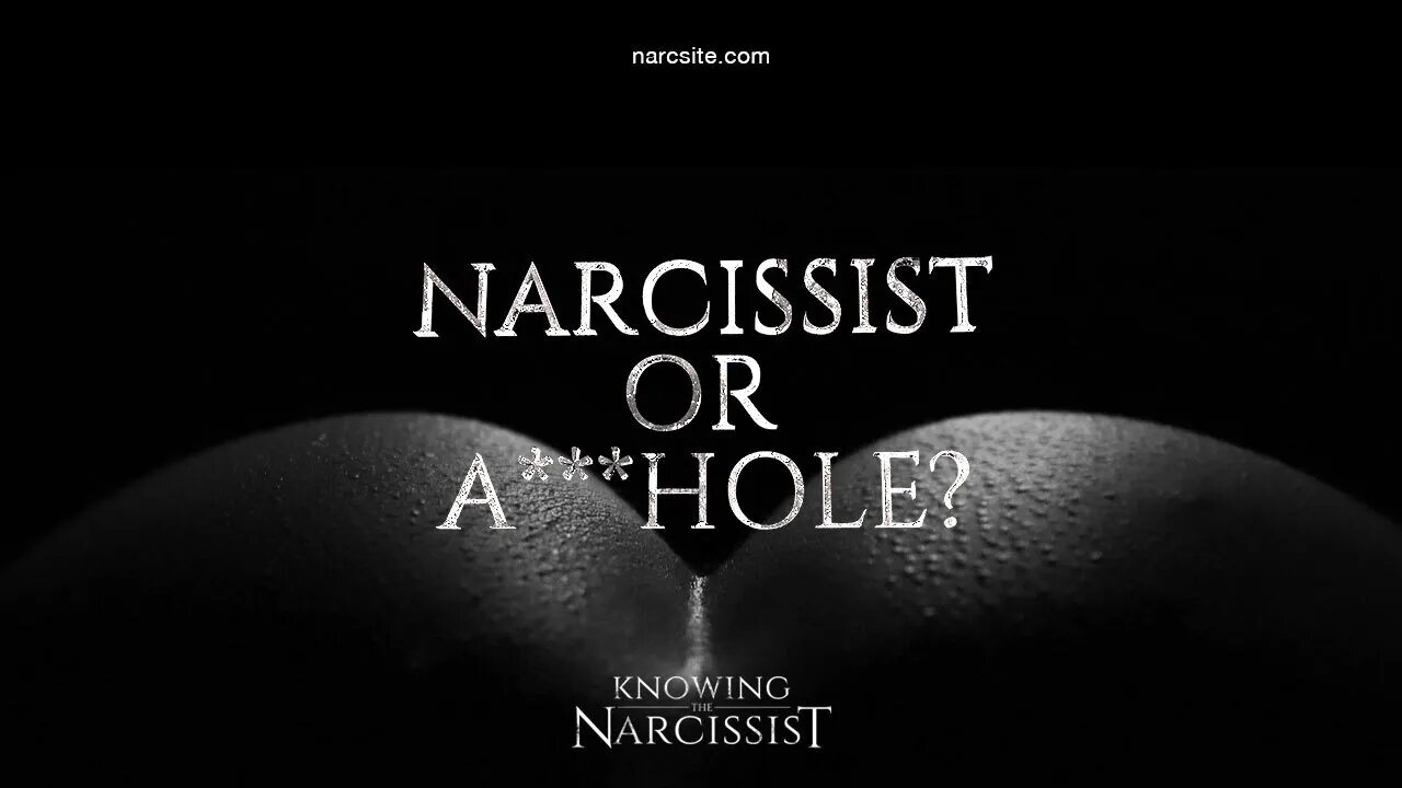 Narcissist or A***hole?