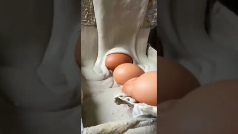 Satisfying / Time Relax Satisfying