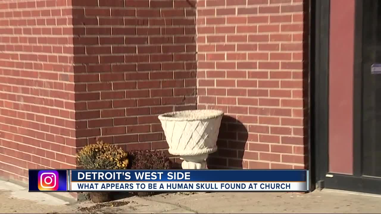 Police: Human skull found in flower pot on Detroit's west side