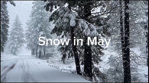 Snow In May