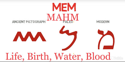 MEM/MAHM