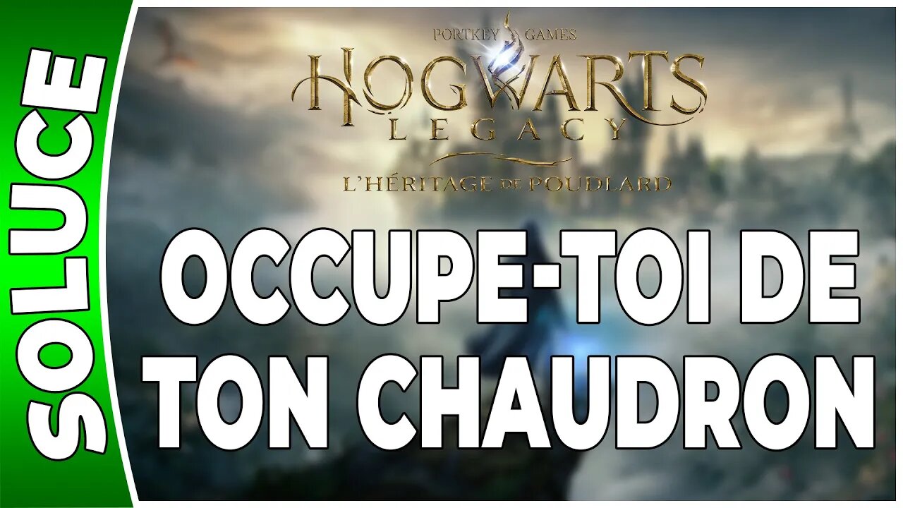 Hogwarts Legacy : l'Héritage de Poudlard - OCCUPE-TOI DE TON CHAUDRON - Annexe 46 - [FR PS5]