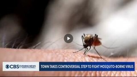 Massachusetts Towns Set Voluntary Curfew to Combat "Mosquito-Borne Virus"