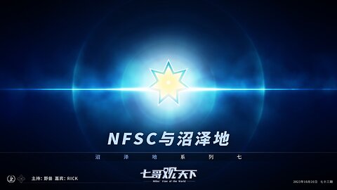 《七哥观天下》72 NFSC与沼泽地——沼泽地系列之七