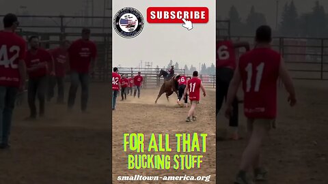 Who wants to Go In The Bull Pen? #Bull #Bullpen #youtubeshorts #smalltownamerica