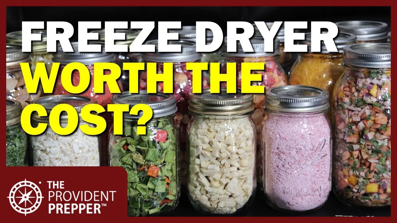 Full Disclosure! Is Freeze-Drying Worth the Cost and Hassle?