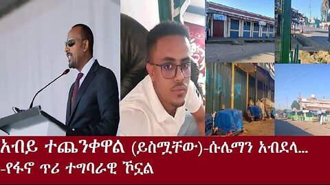 አብይ ተጨንቀዋል(ይስሟቸው)-ሱሌማን አብደላ..-አድማው ተግባራዊ ሆኗል-Dec 9,2024 DereNews