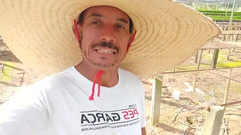 trabalhando na roça.