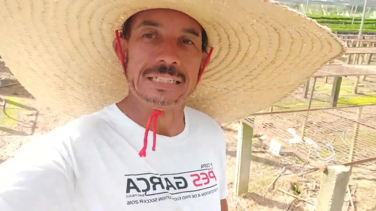 trabalhando na roça.