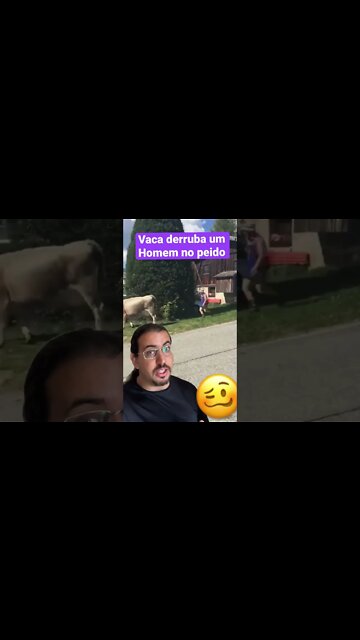 A esquerda está certa! Vamos acabar com o Agro #veganismo #agro #esquerda #direita