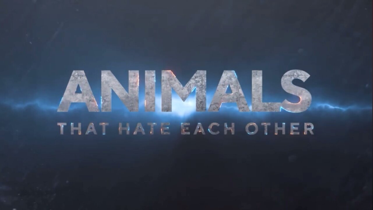 Animal which hate each others!!!!