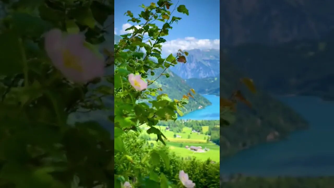 swissaroundSpring Vibes in Switzerland πΈπ¨π#switzerland #swissaround #nature #landscape #tiktoktravel
