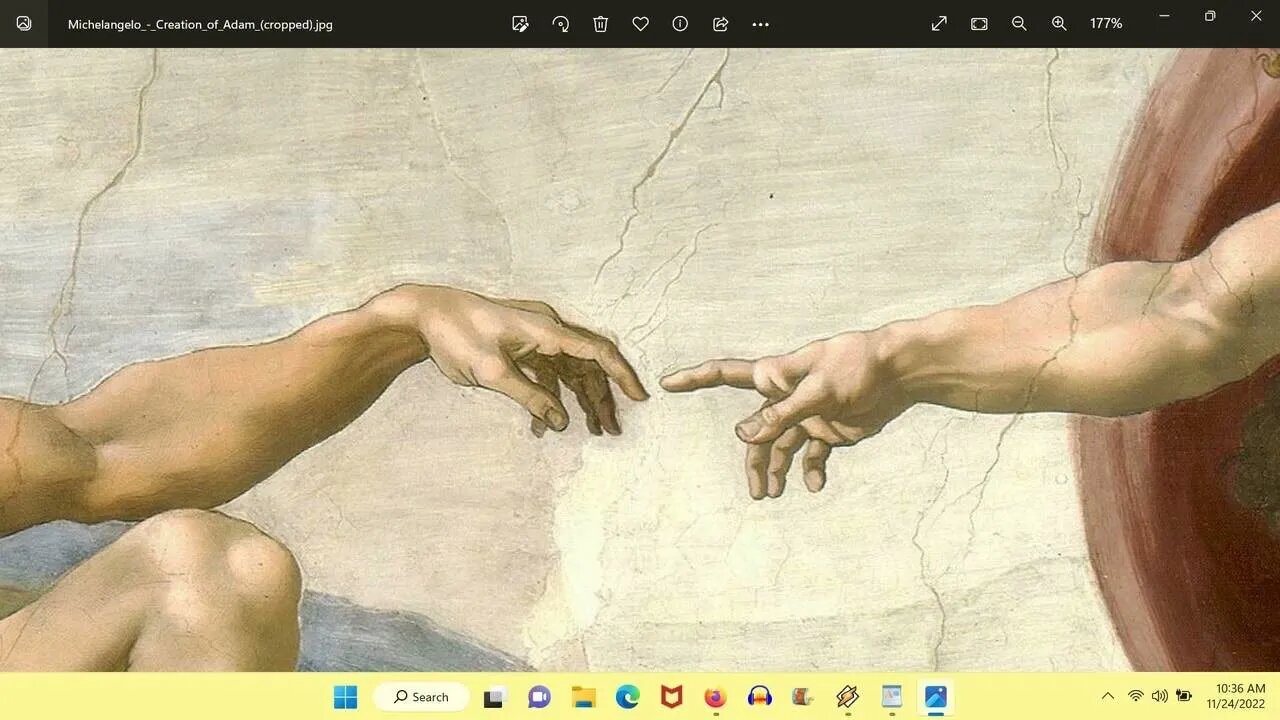 Loyal Opposition - Funk