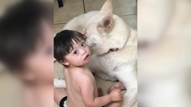 RAW VIDEO: Zabdiel and Bella