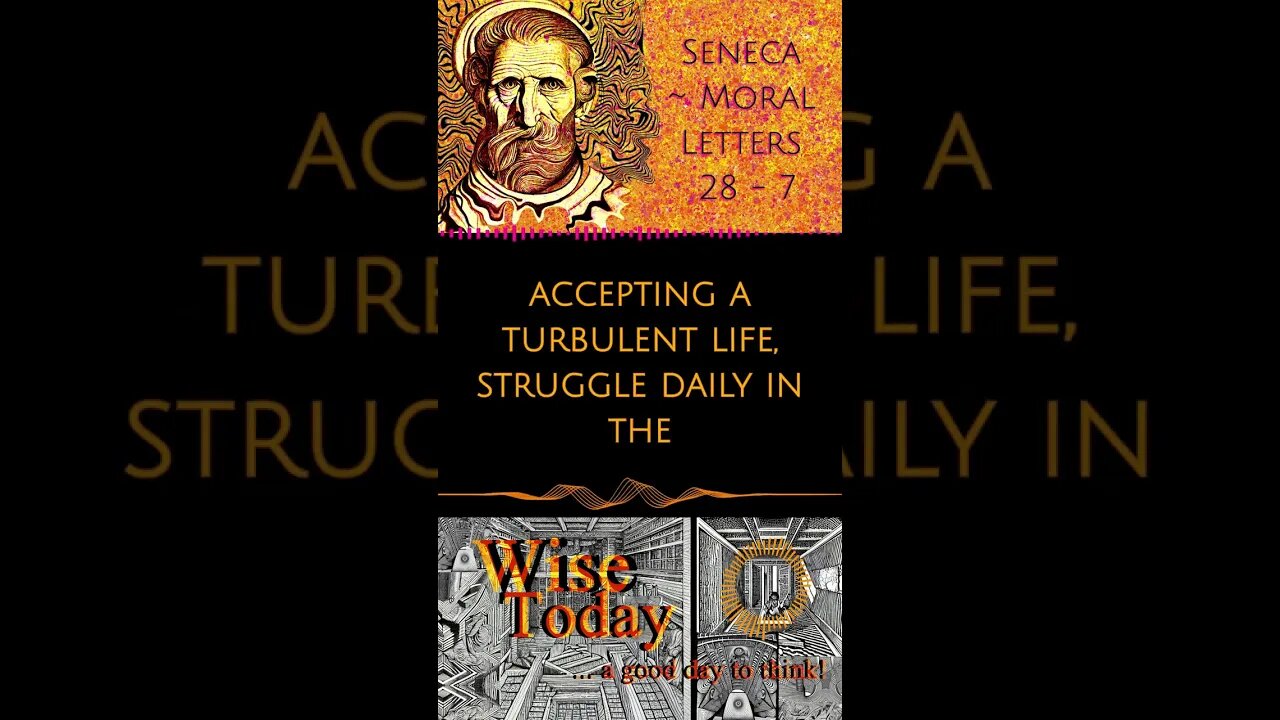WiseToday ~ Seneca - Moral Letters (28. 7) #philosophy #stoicism #shorts