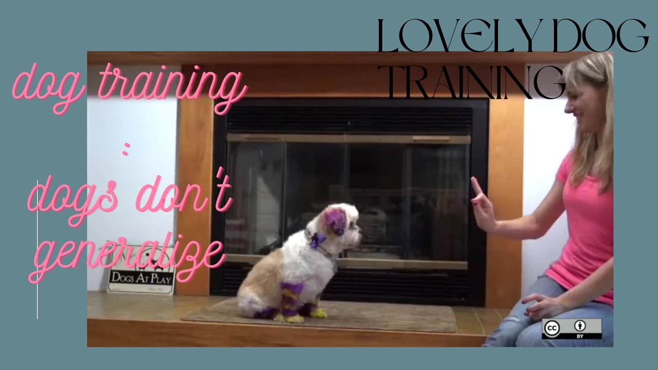 Dog Training Basic : Dogs don't generalize