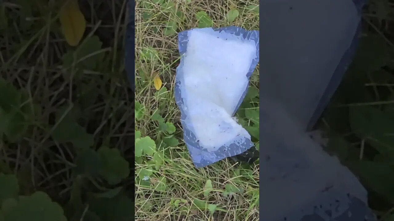 what is this ummm no I don't need to know? #shorts